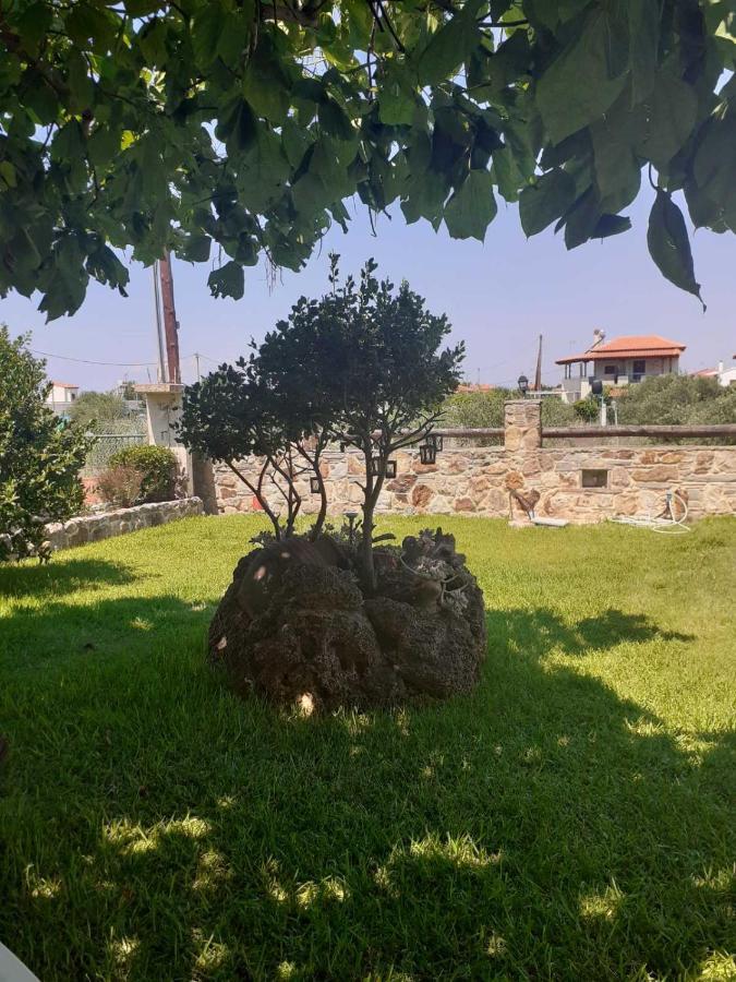 Villa Thodis Villa's Kariani
